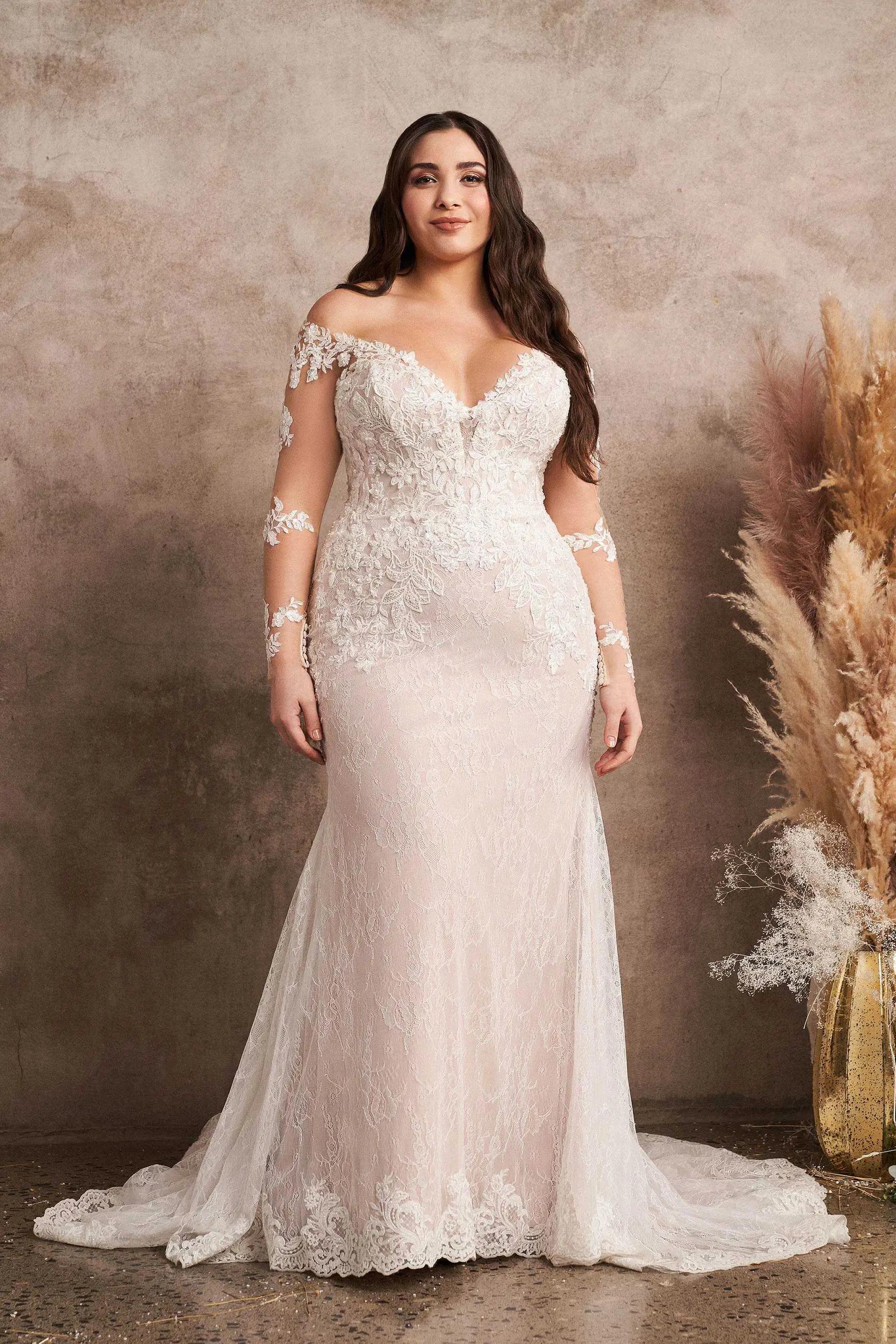 Find Your Dream Curve Gown Image