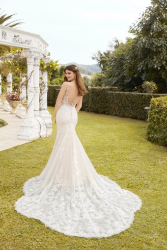 Style Talia Sophia Tolli #1 thumbnail