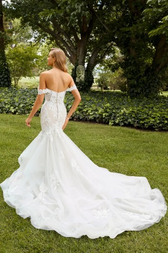 Style Charity Sophia Tolli #3 thumbnail