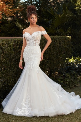 Style Julia Sophia Tolli #0 default thumbnail