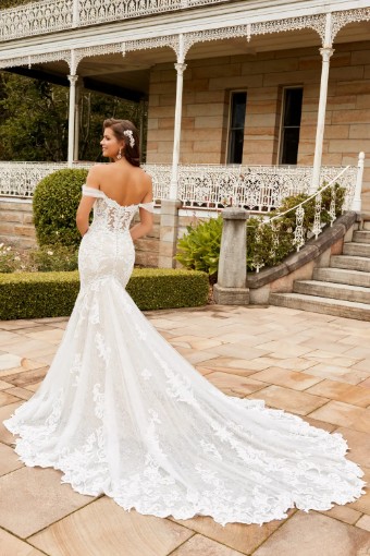 Style Nova Sophia Tolli #1 thumbnail